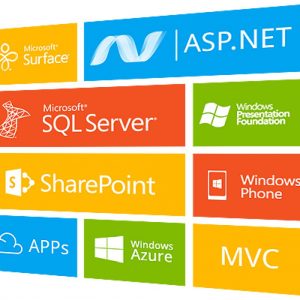 application development company in australia